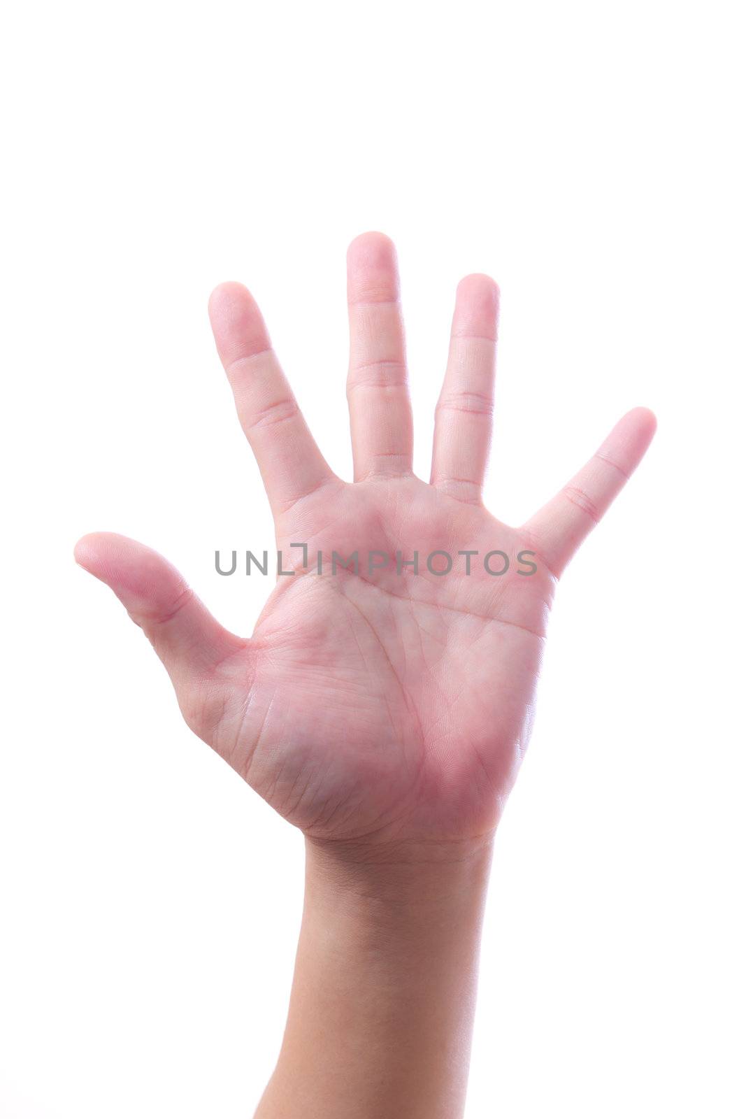 hand sign isolated by tungphoto