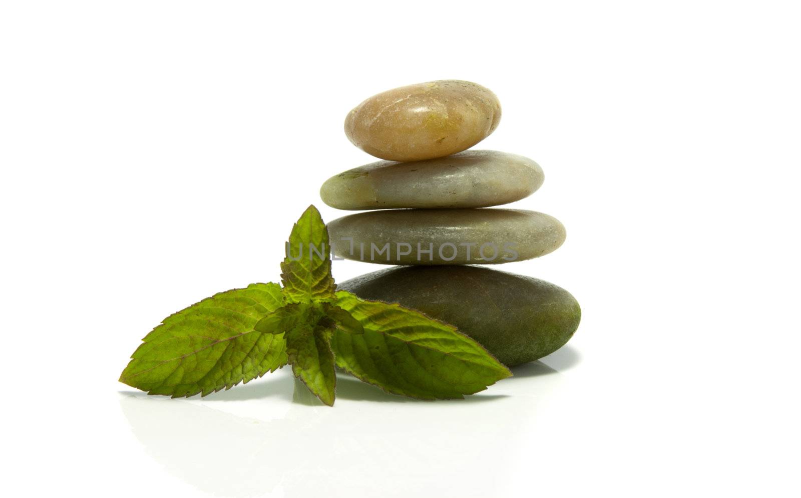 rocks and green mint on isolated white by compuinfoto
