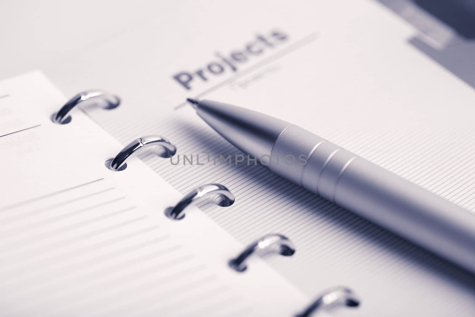 pocket planner and pen