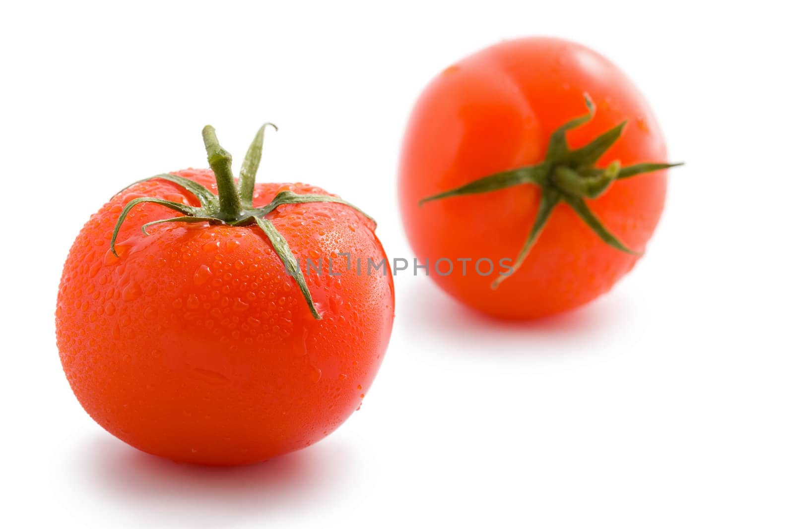 two ripe tomatoes isolated