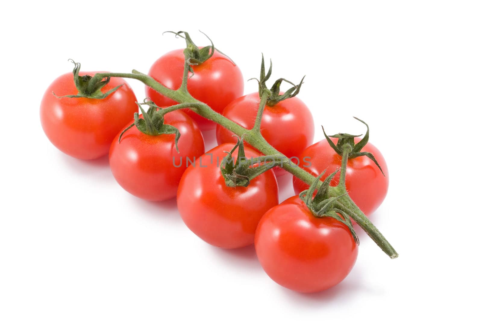 tomatoes isolated