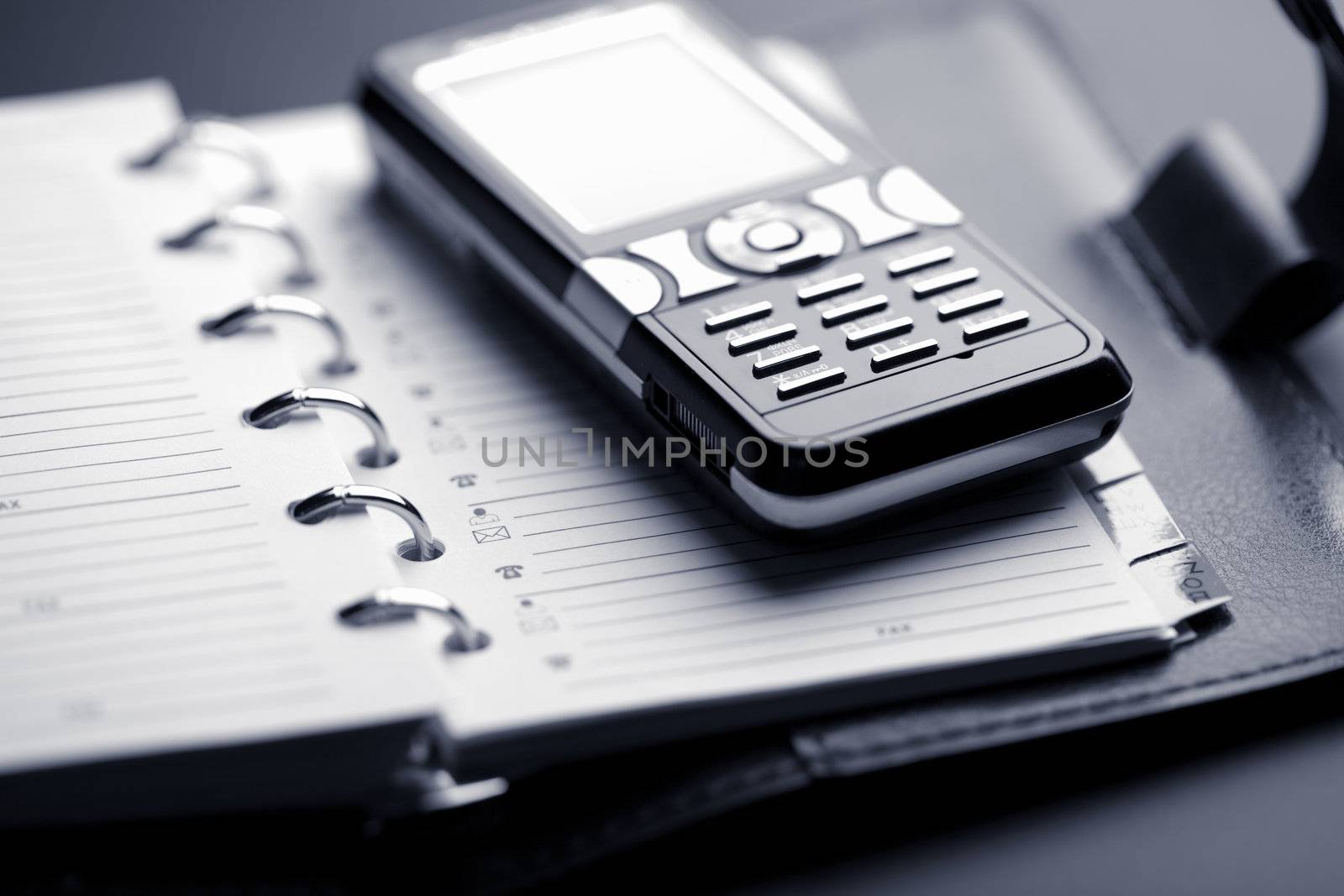 organizer and mobile phone