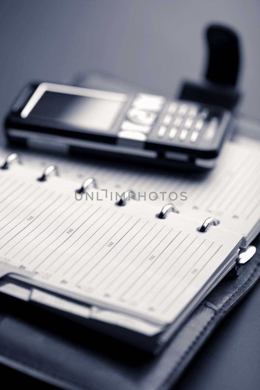 organizer and mobile phone