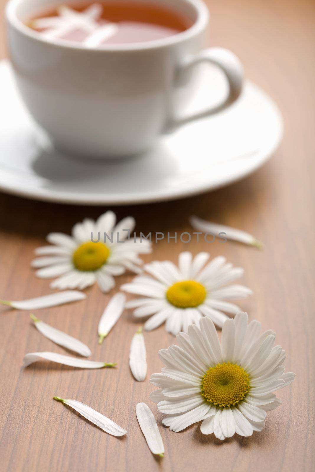 white cup of herbal tea and camomile flowers