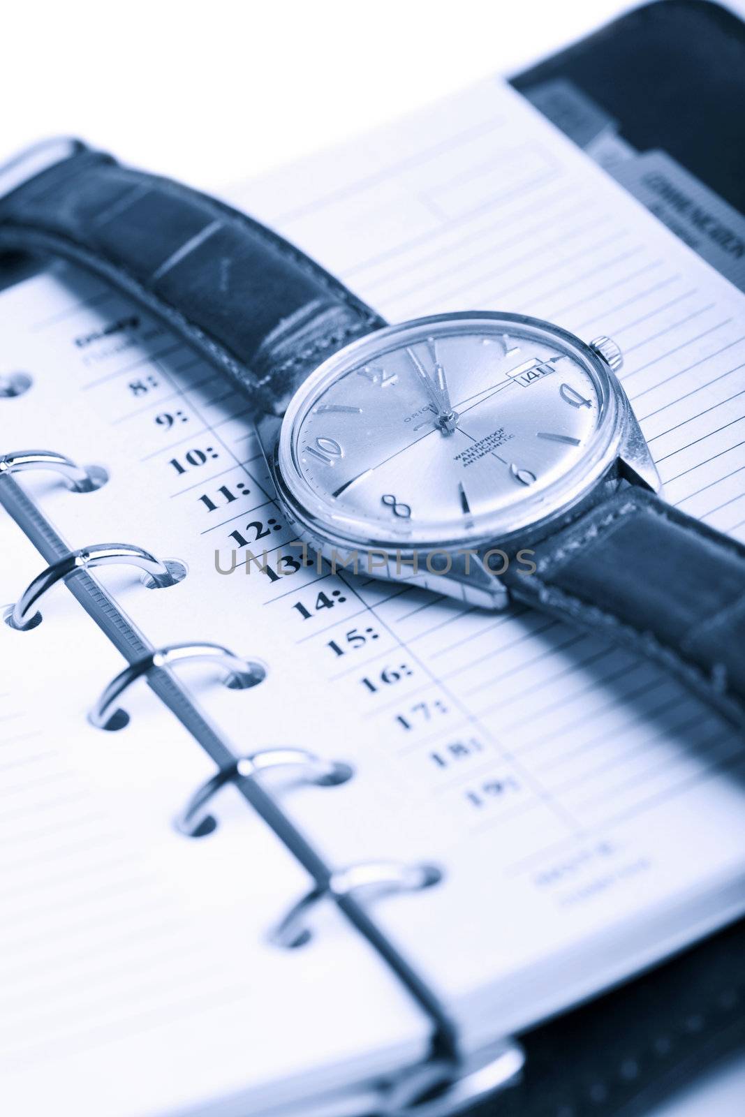 leather organizer and watch isolated (shallow DOF)
