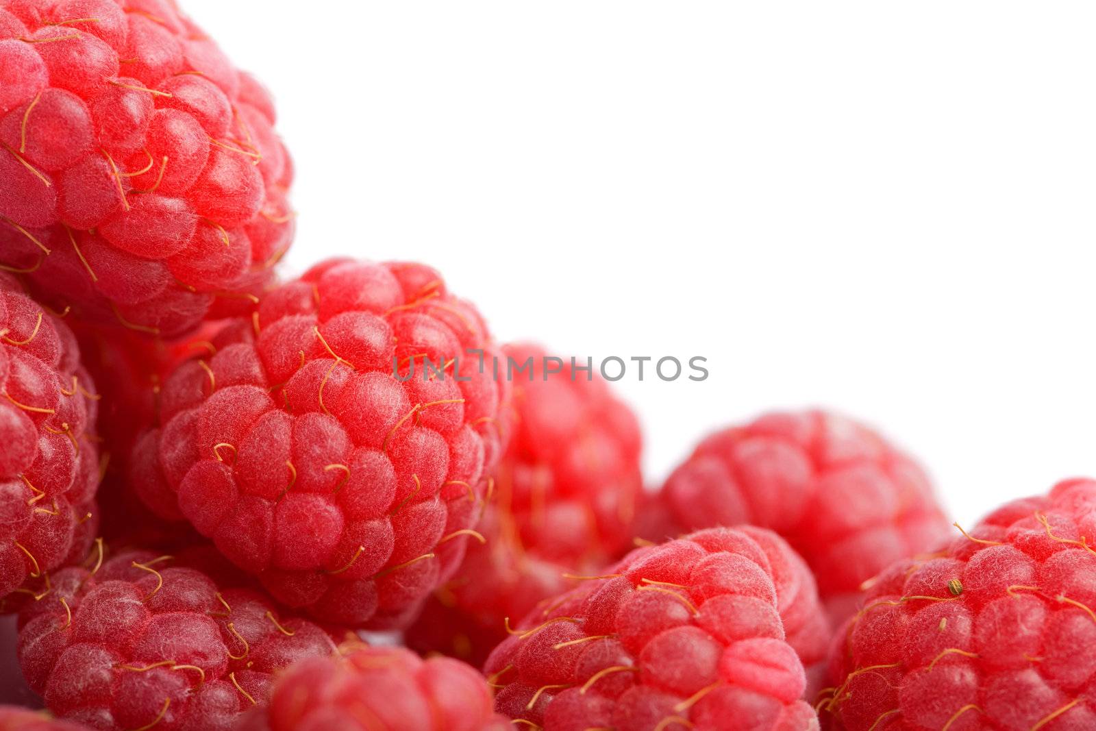 fresh raspberries background isolated