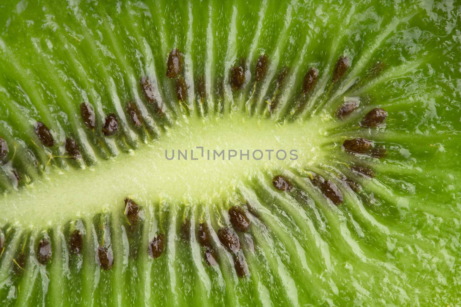 fresh kiwi background