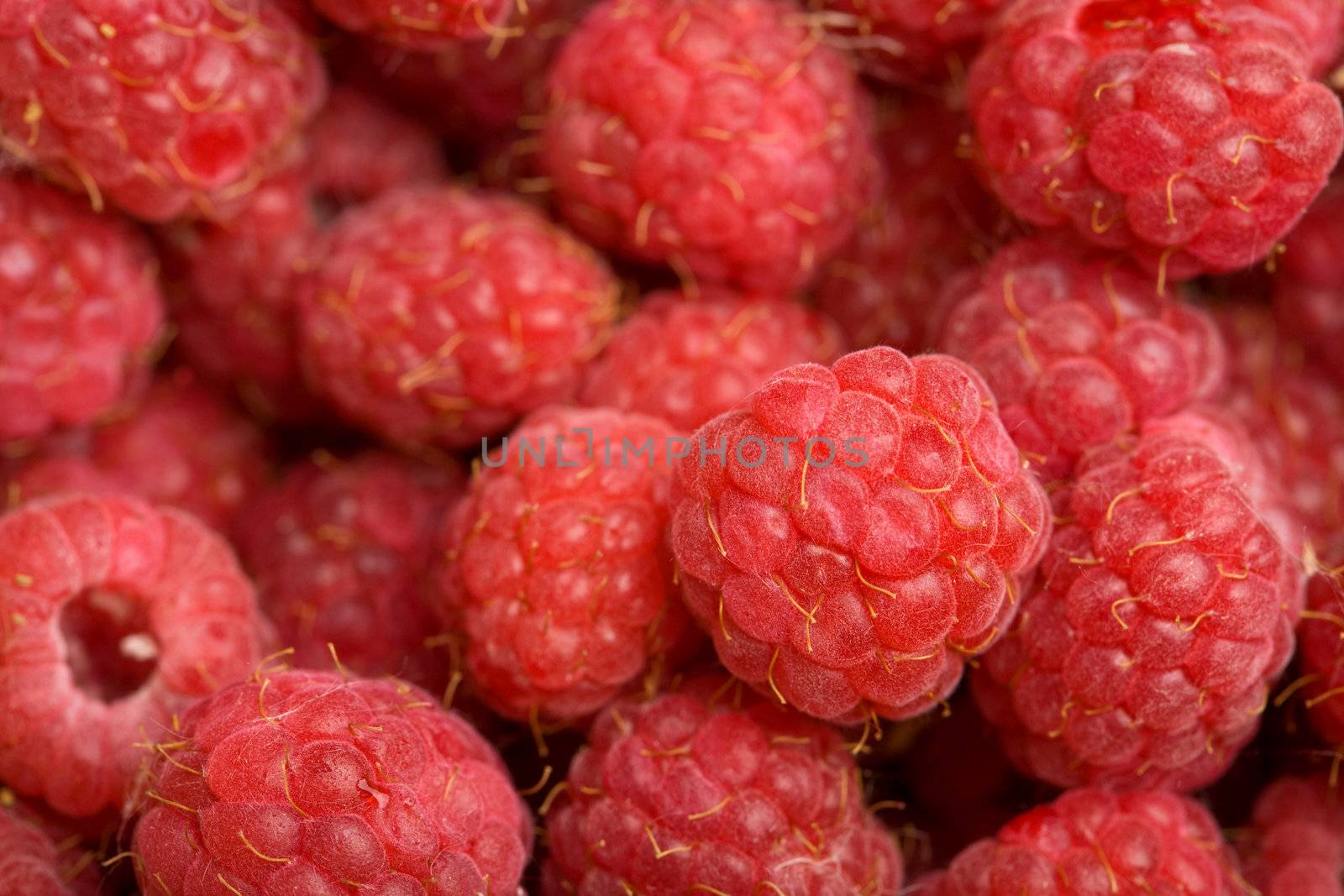 fresh raspberries background