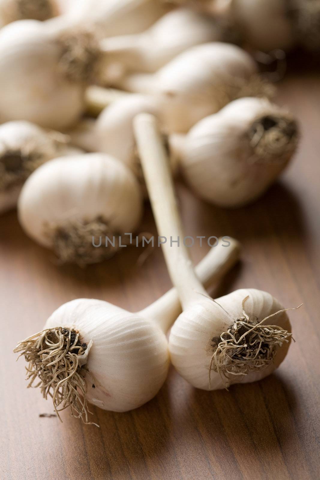 fresh garlic background (shallow focus)