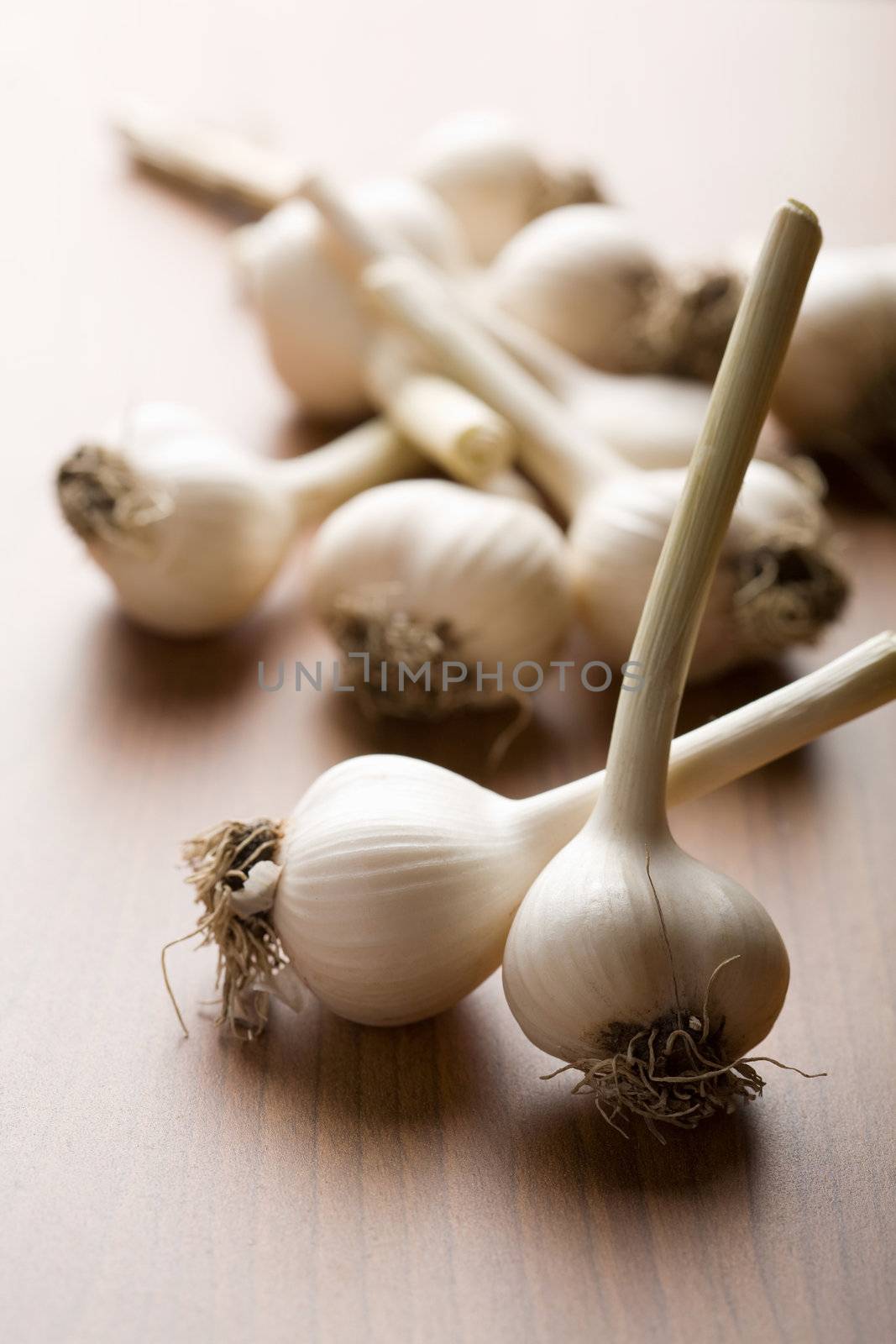 fresh garlic background (shallow DOF)