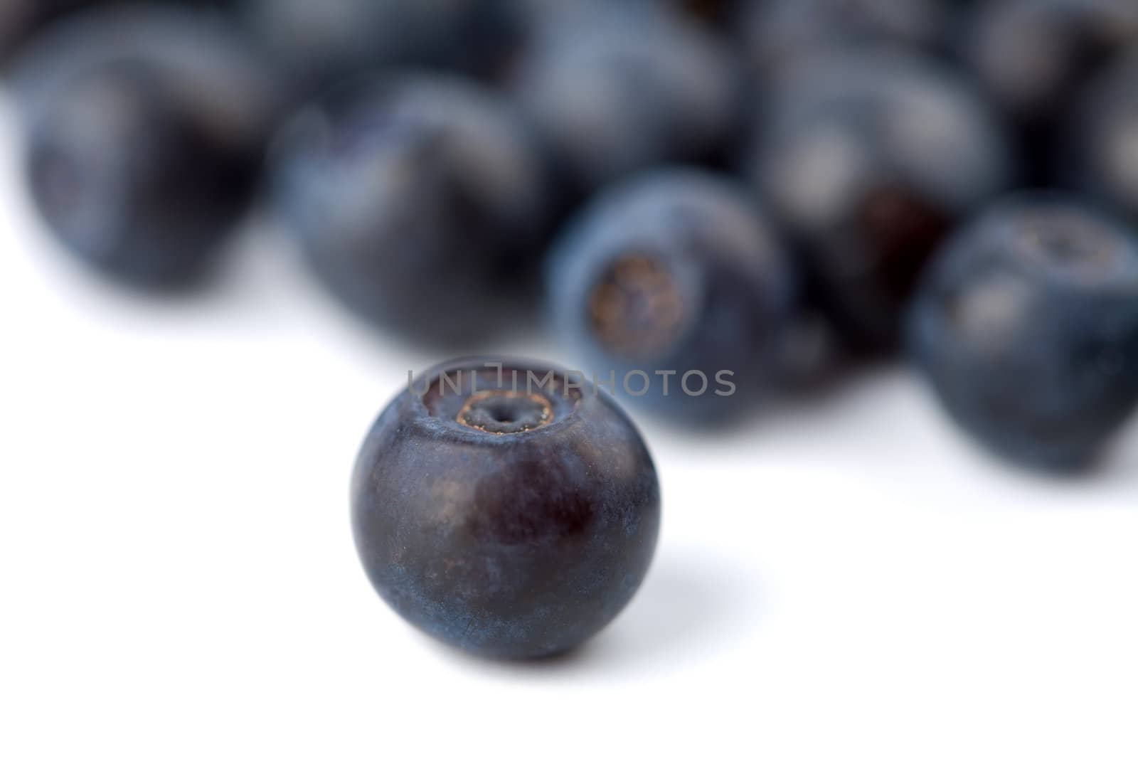 fresh bilberries background 