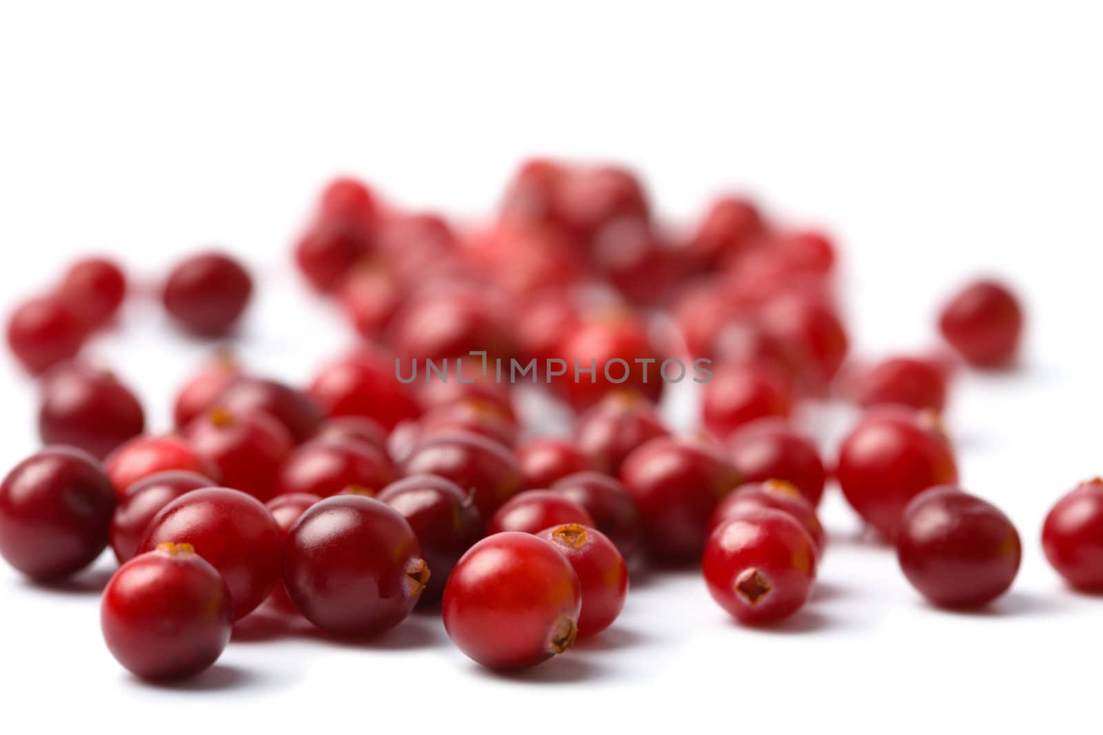 red cranberries isolated