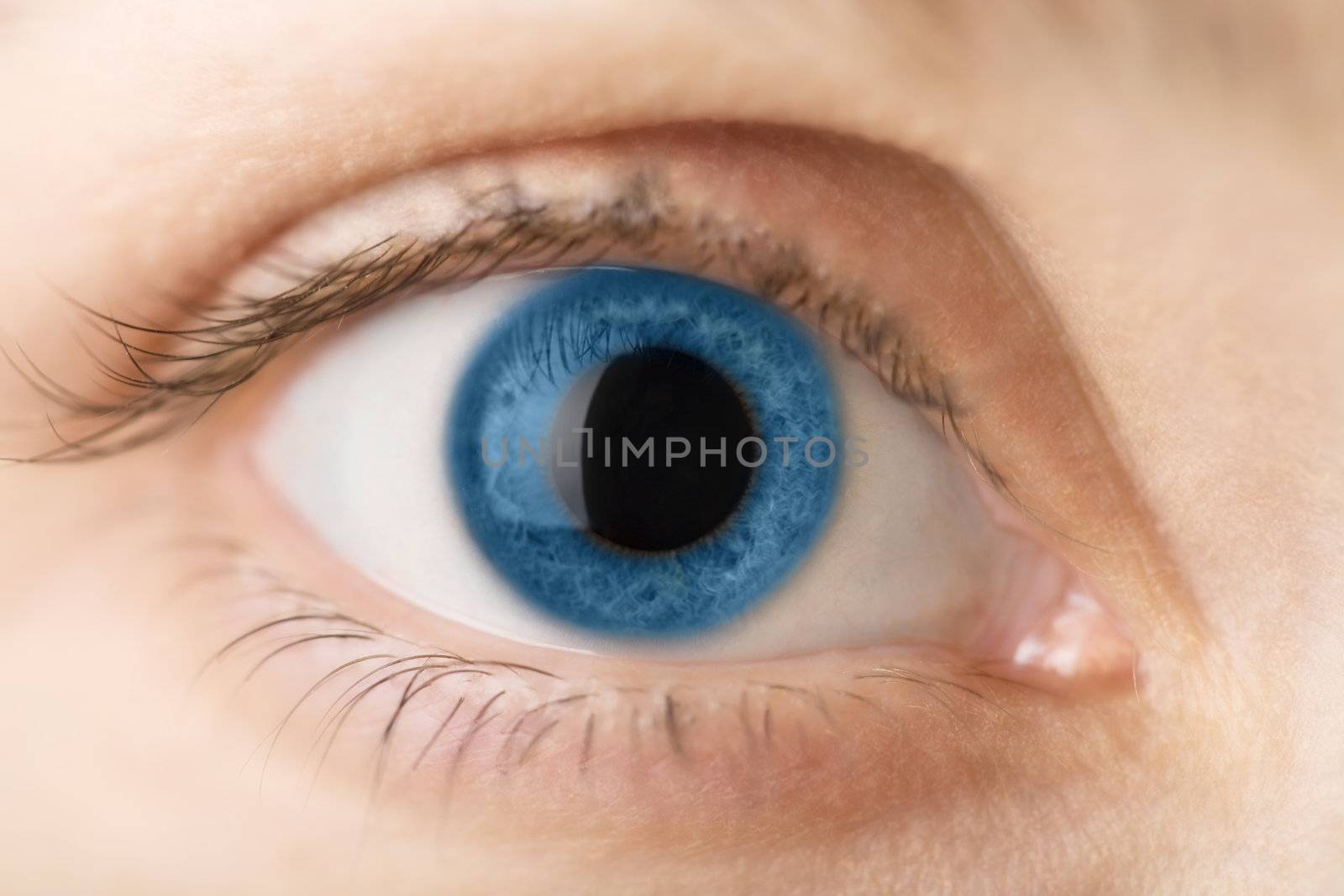macro of blue human eye