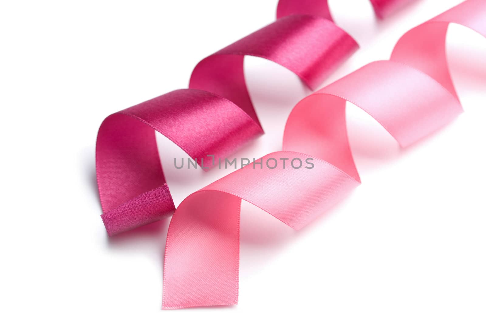 holiday pink ribbons isolated