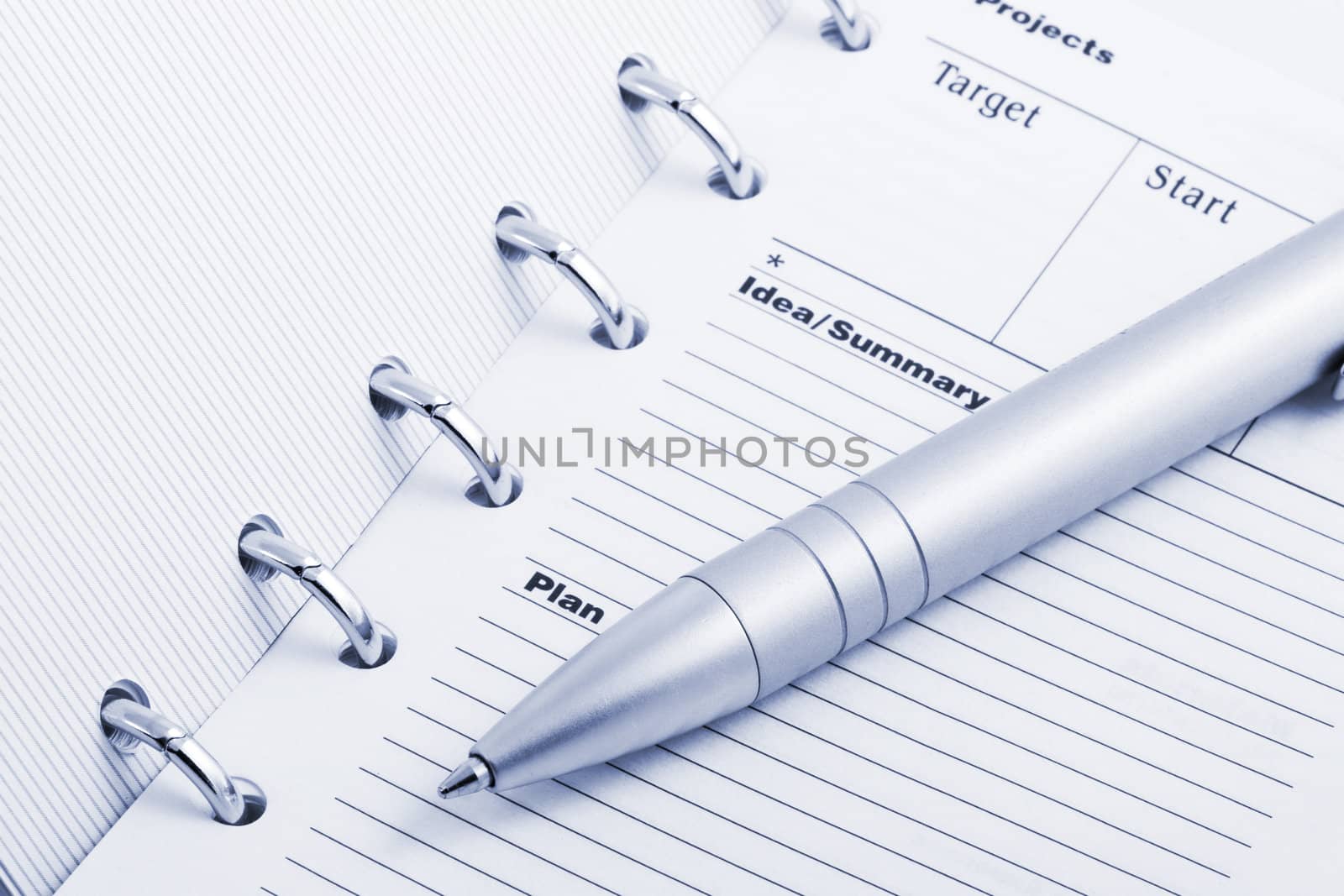 pocket planner and pen