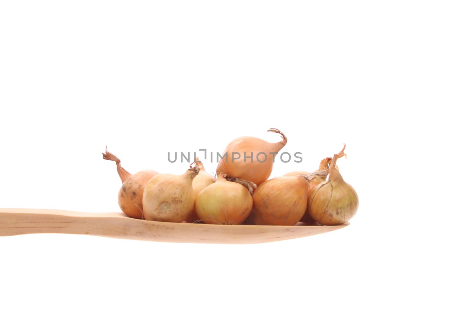 Onions simply offered on a wooden spoon isolated on a white background 
