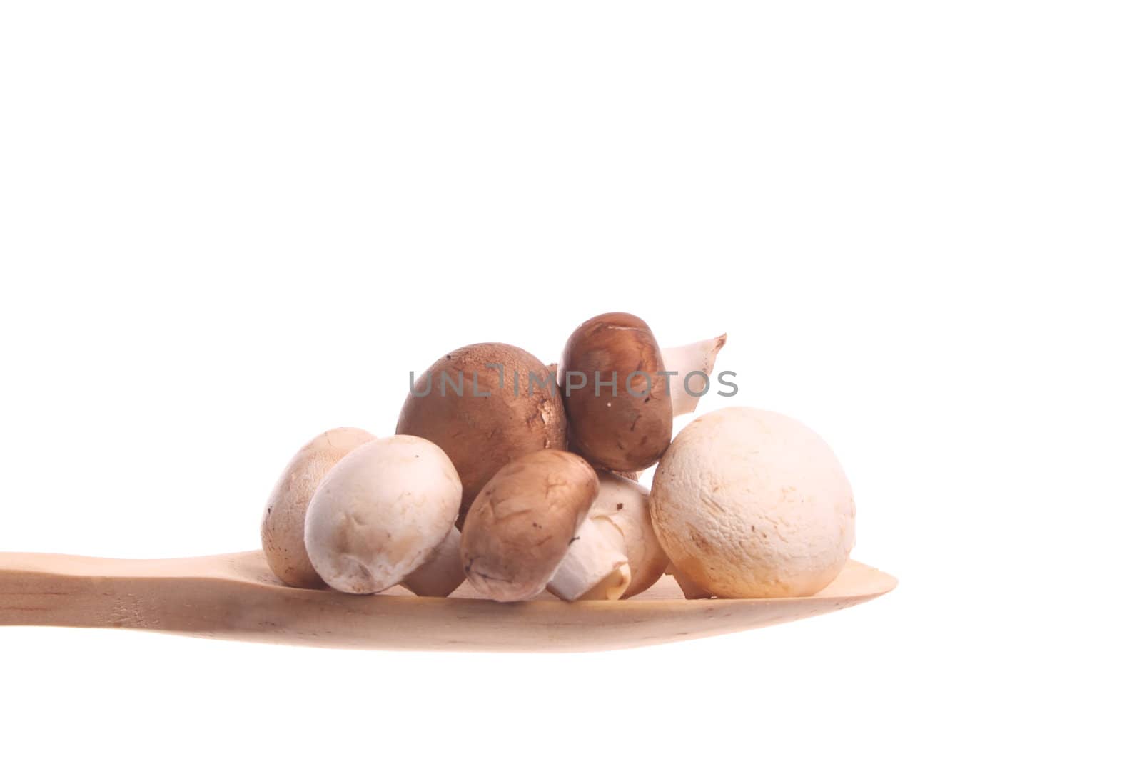 Mushrooms  simply offered on a wooden spoon isolated on a white background 