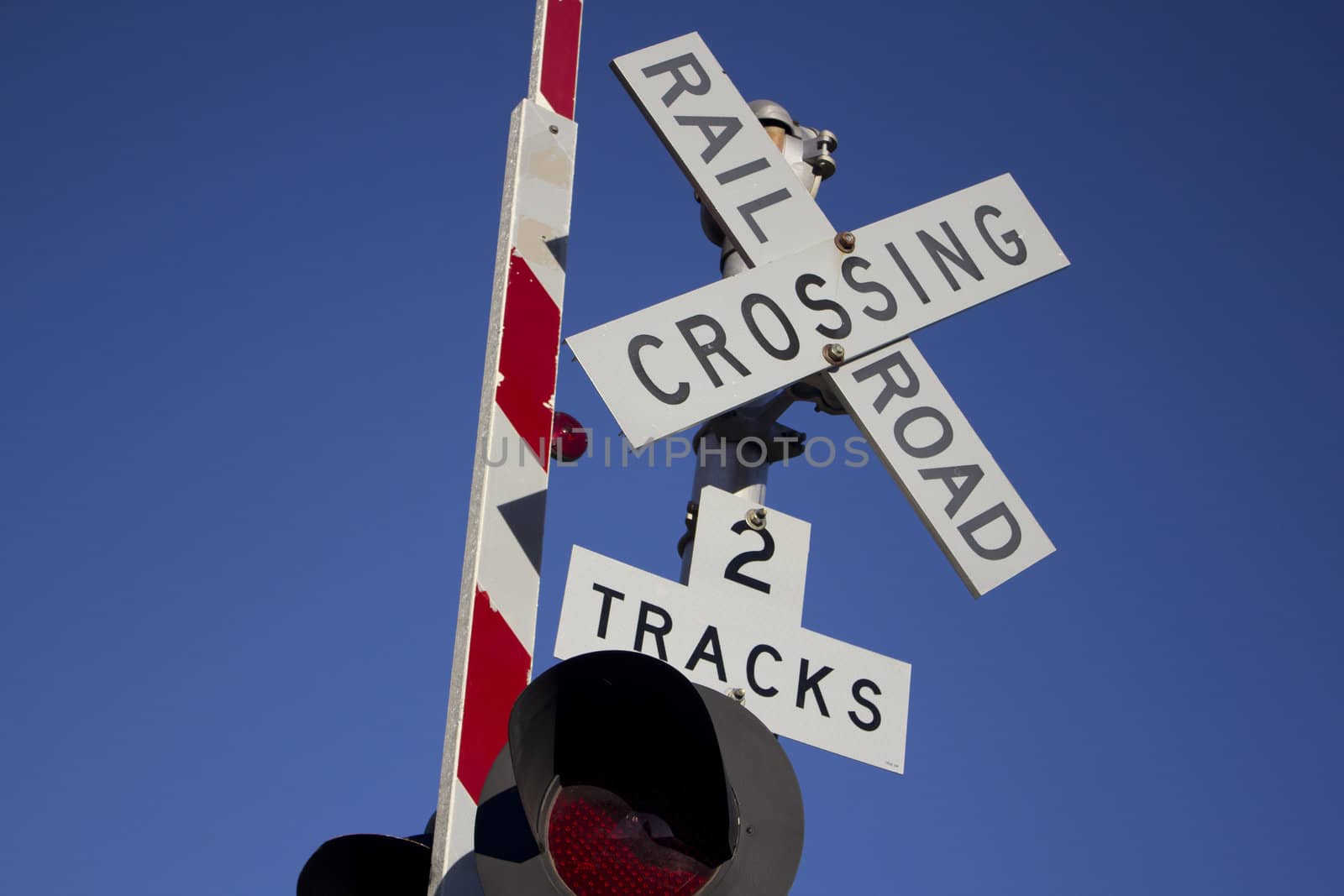 A rail road sign in the forest