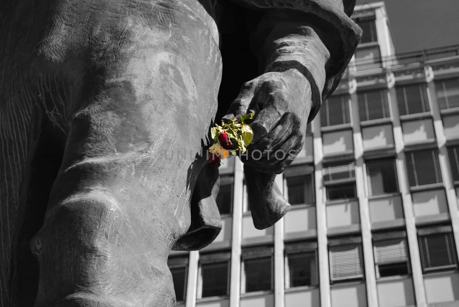 The workers' monument at youngstorget, Oslo, holding a rose in commemoration of the victims after the terrorist attacks 22.07.2012.