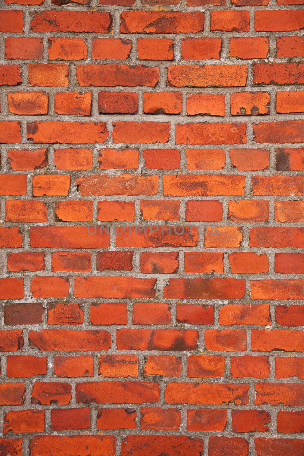 brick wall texture by duskbabe
