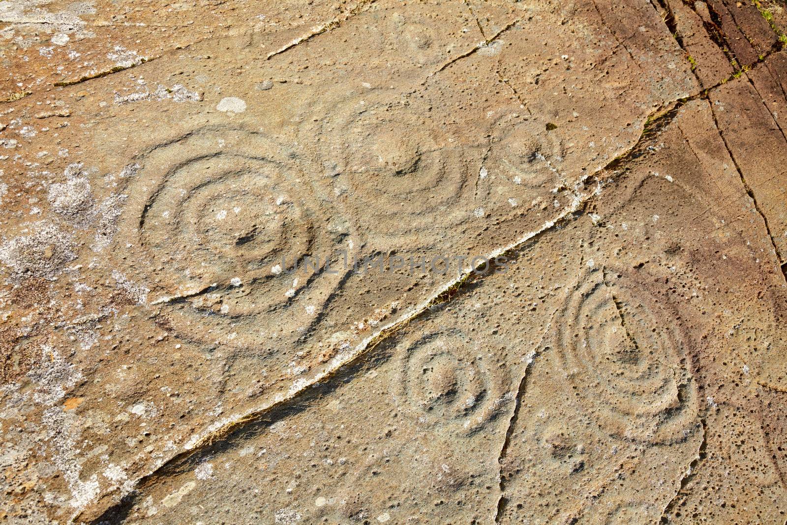 Cup and ring marks on a stone near Cairnbaan in Scotland