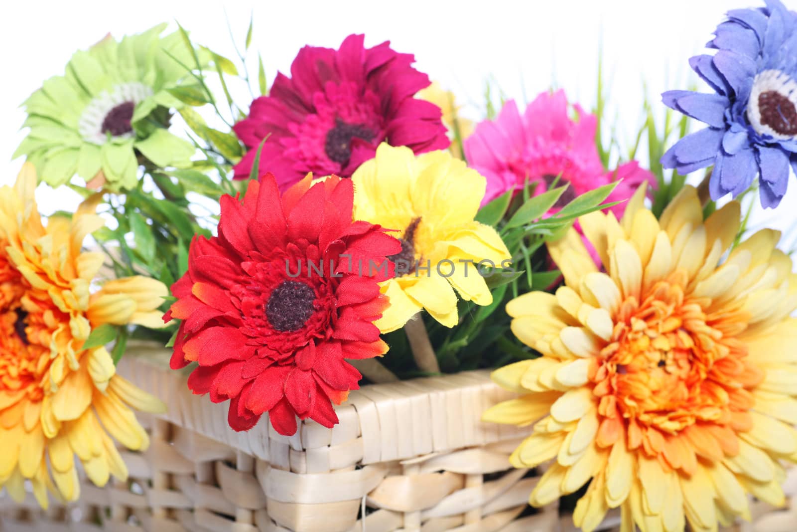 Bright colourful arrangement with a selection of different summer flowers in a basket, closeup on a white background