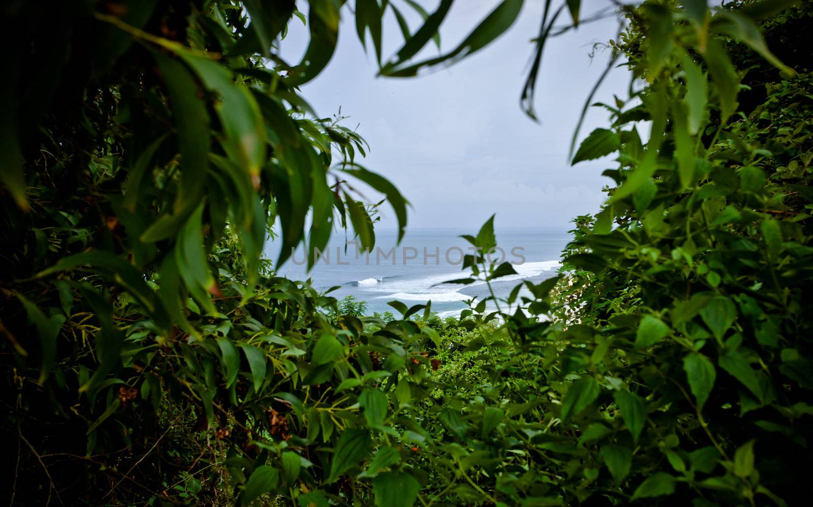 Dense lush green tropical vegetation with a view through a gap to the ocean and beach