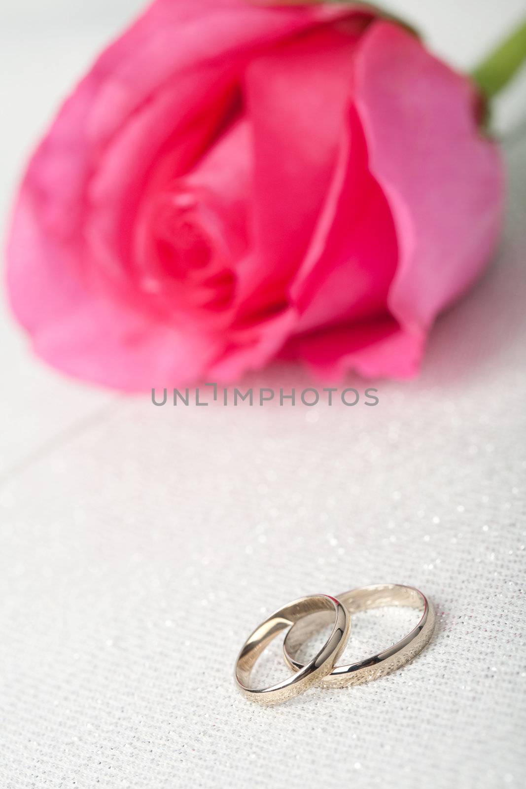 Gold wedding rings and pink rose