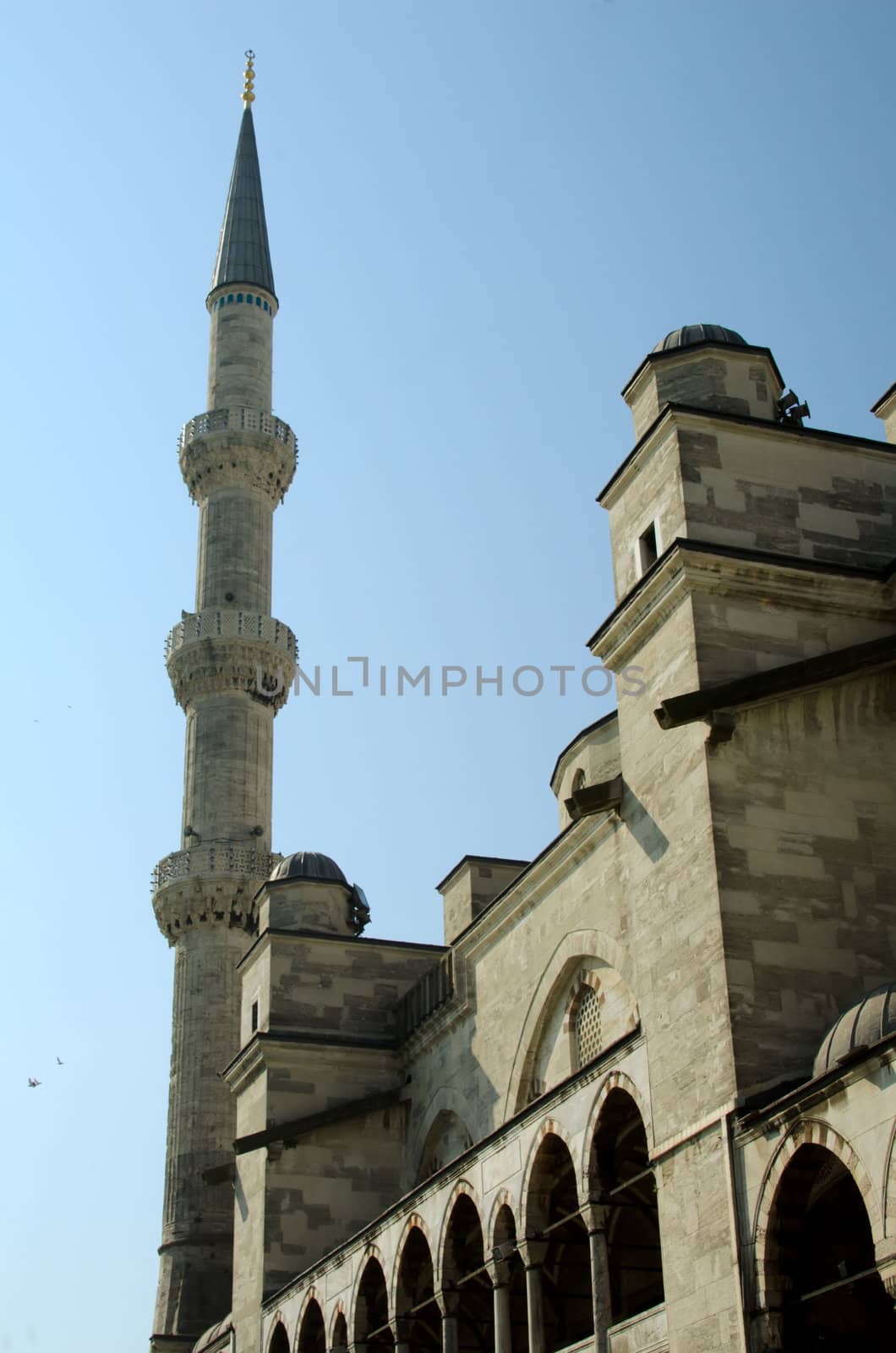 Blue Mosque of istanbul
 by njaj