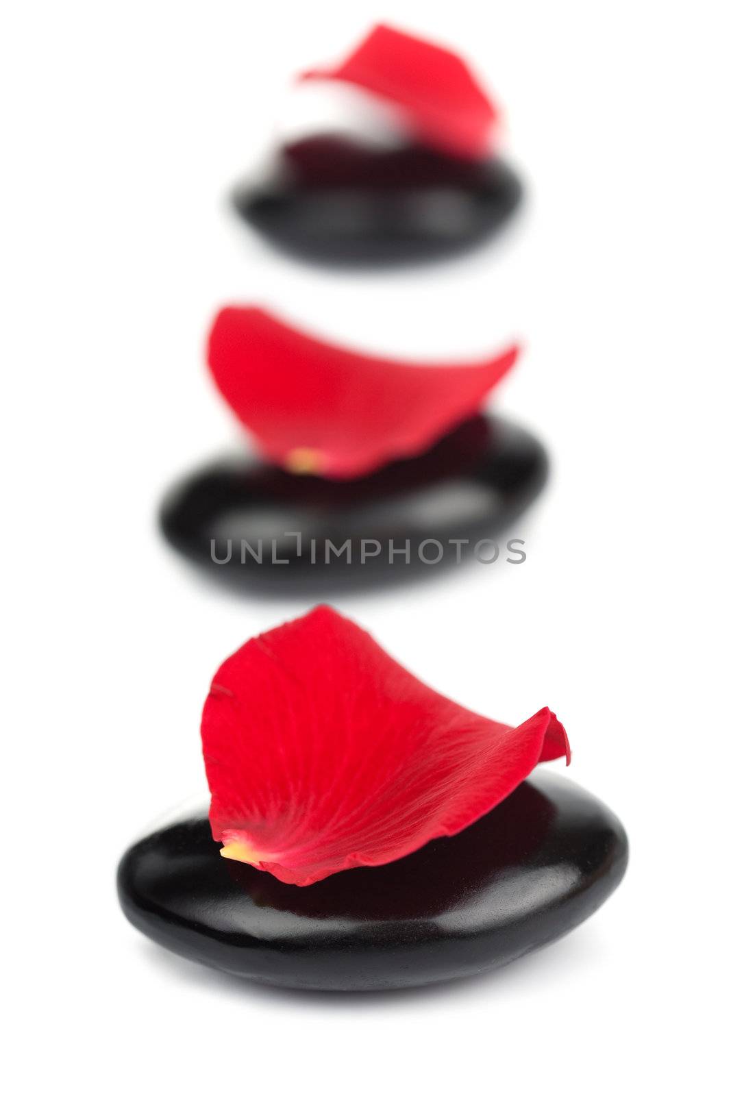 spa stones and red rose petals isolated