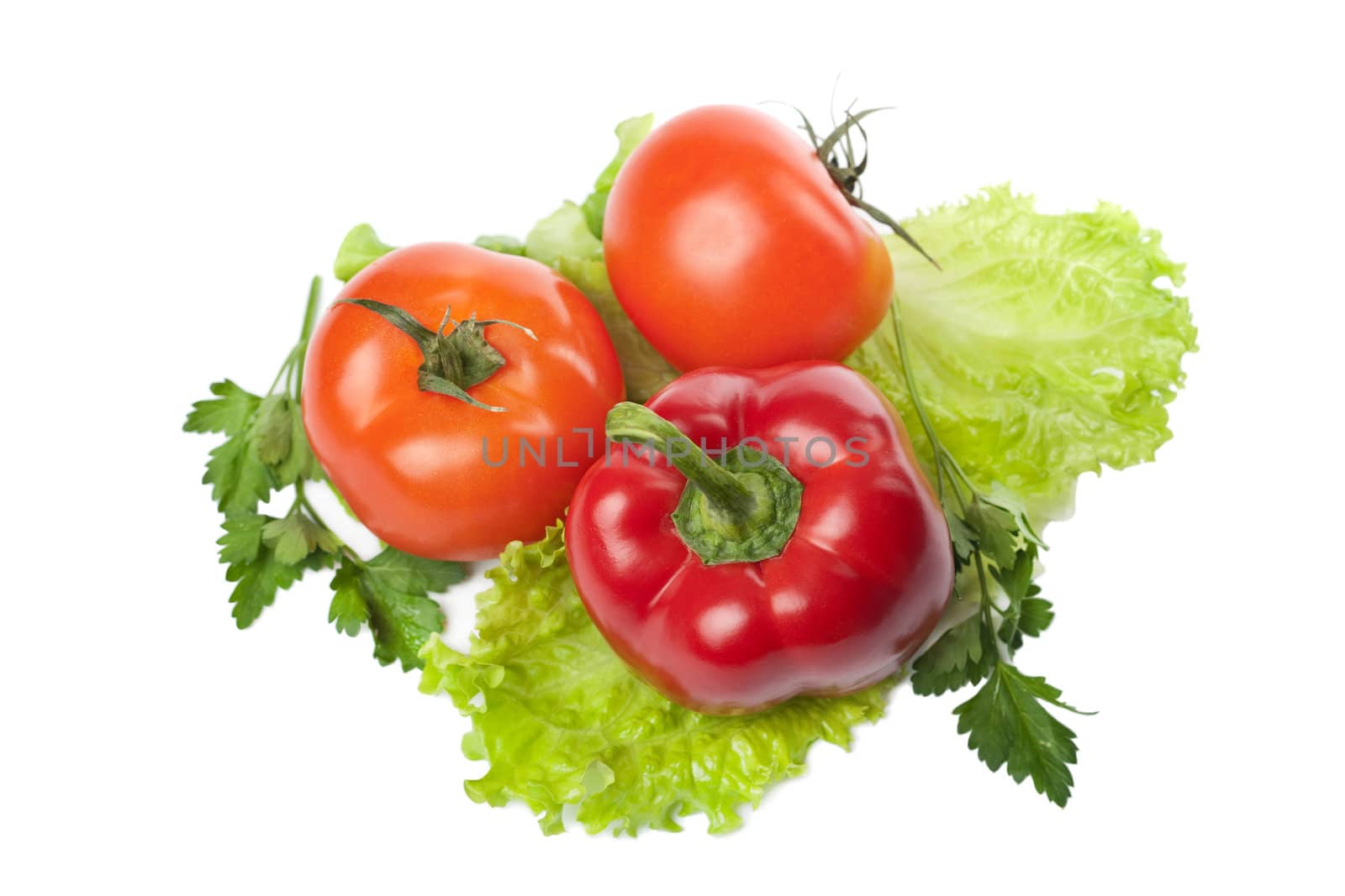 colorful fresh vegetables isolated
