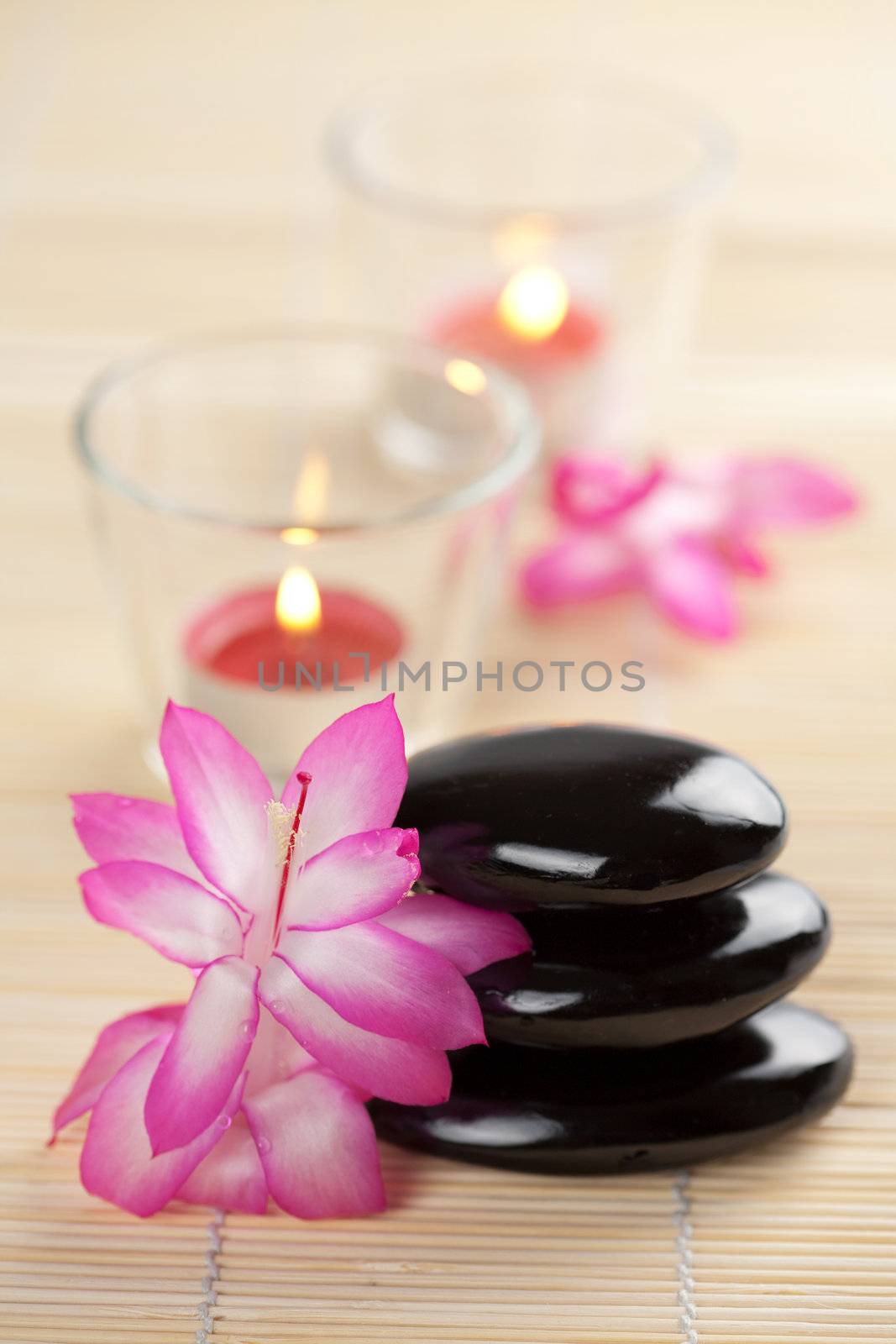 spa stones and pink flowers over bamboo mat
