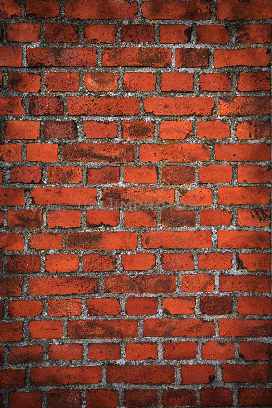 brick wall texture by duskbabe