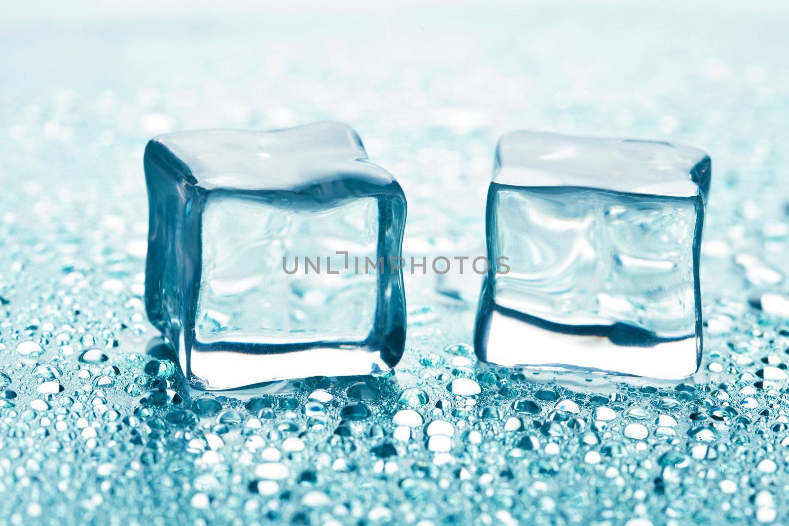 melting ice cubes
