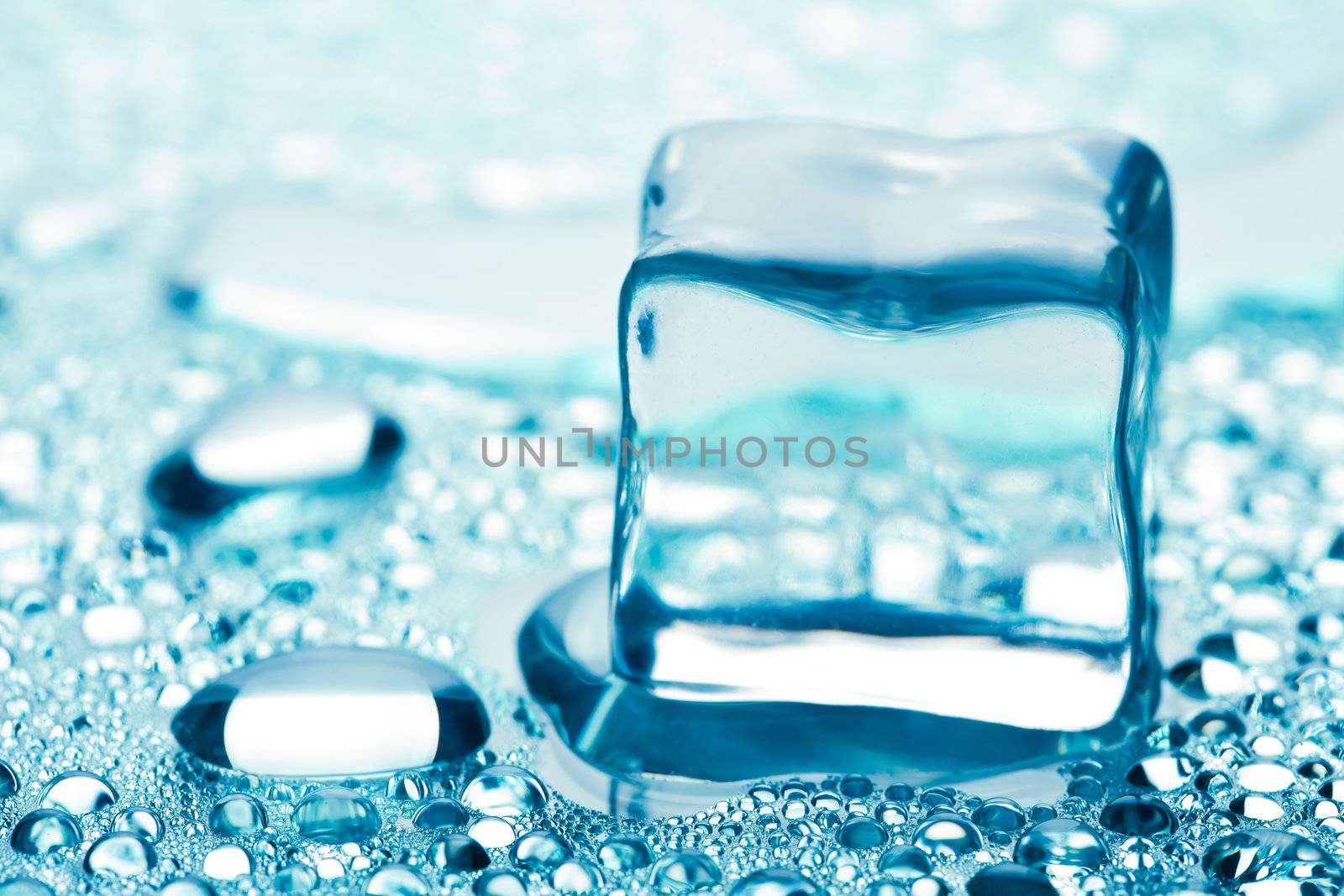 melting ice cube
