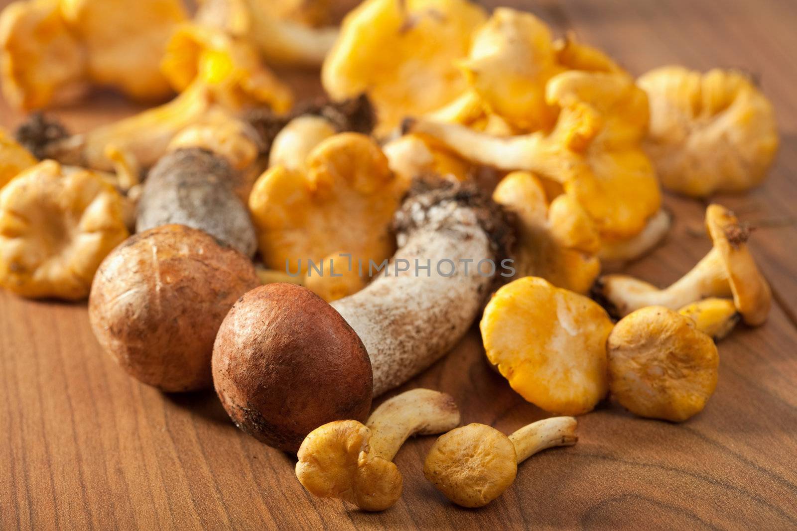 fresh mushrooms