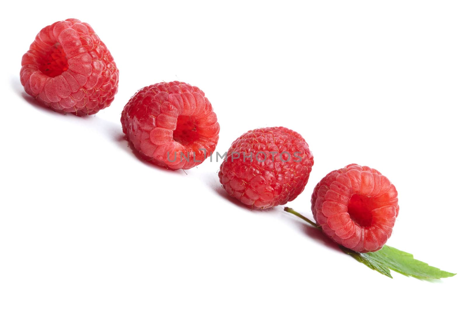 fresh raspberries isolated