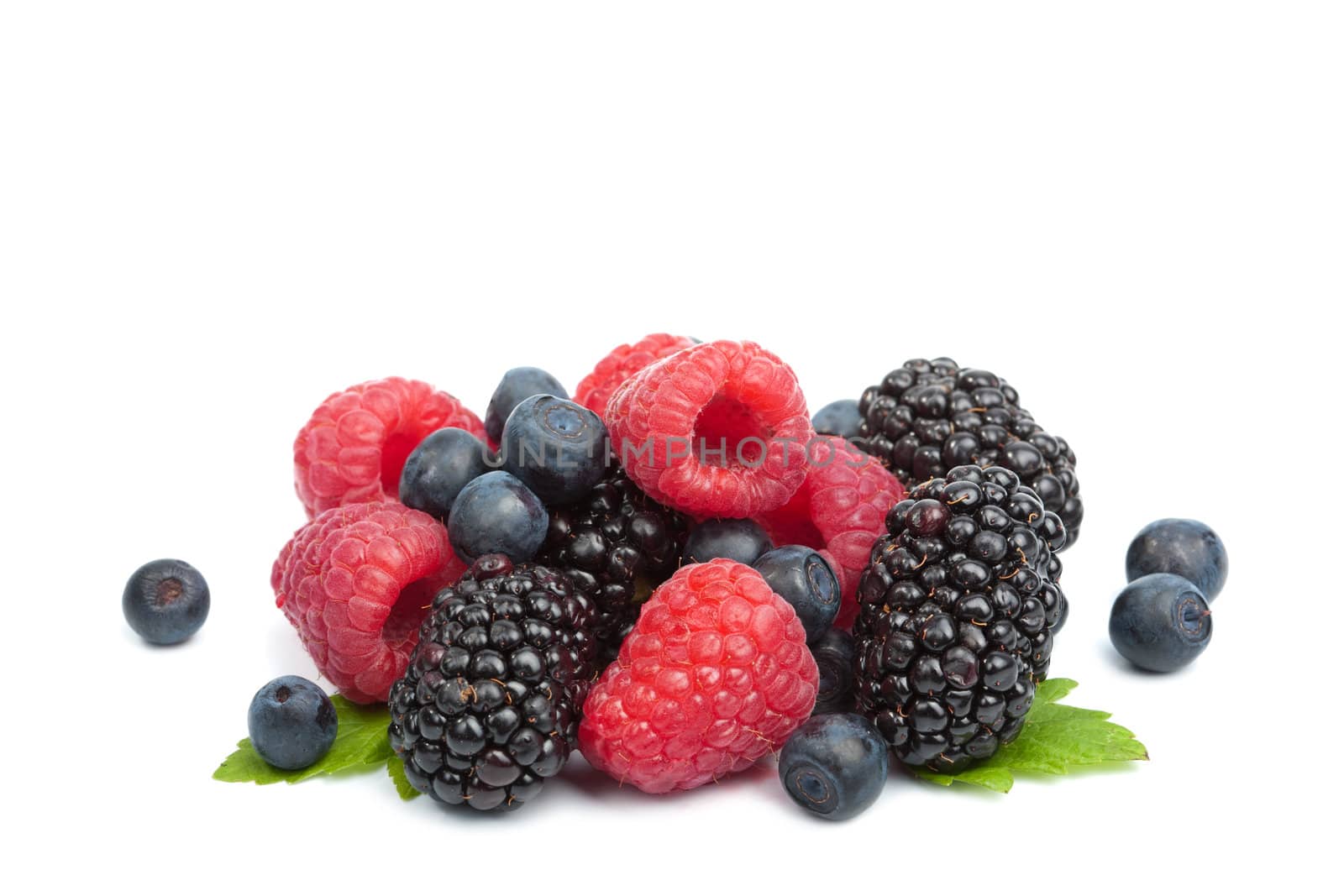 fresh berries isolated 