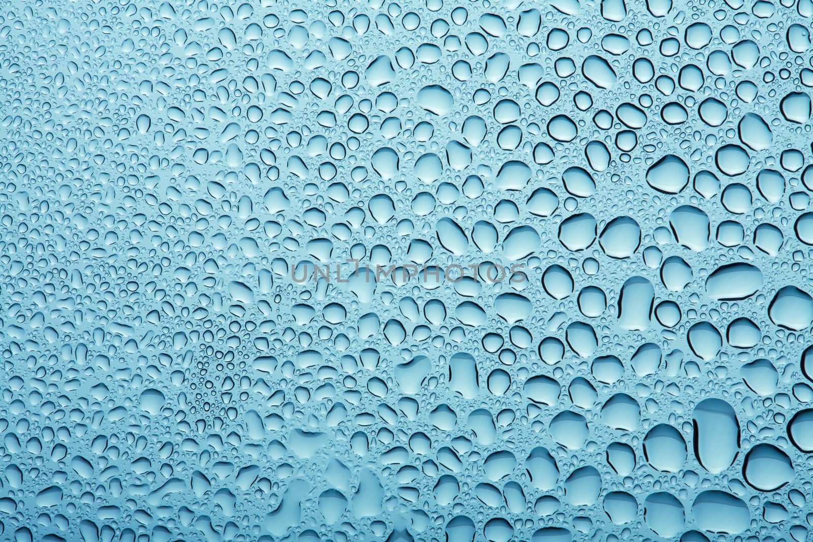 blue water drops background
