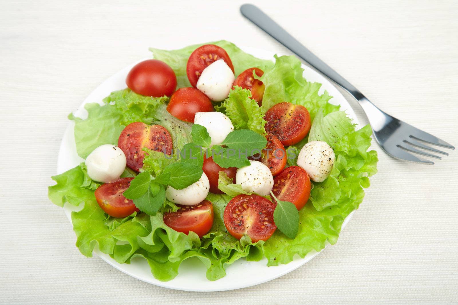 salad with tomatoes and mozzarella 