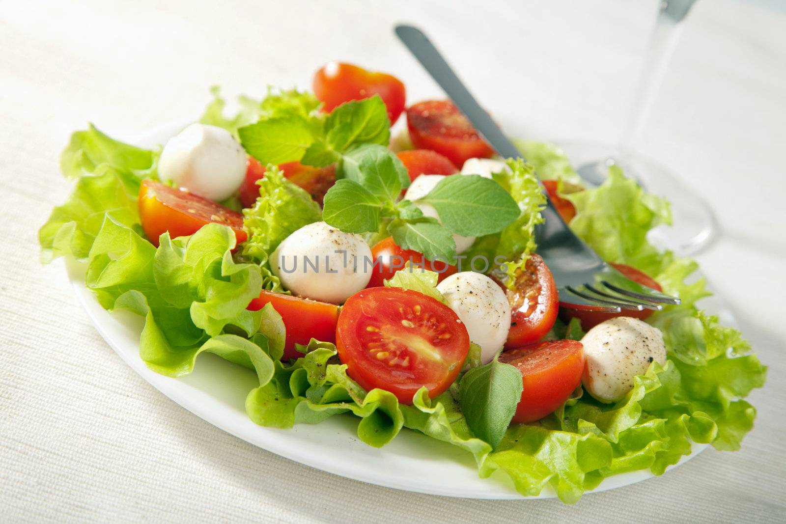 salad with tomatoes and mozzarella

