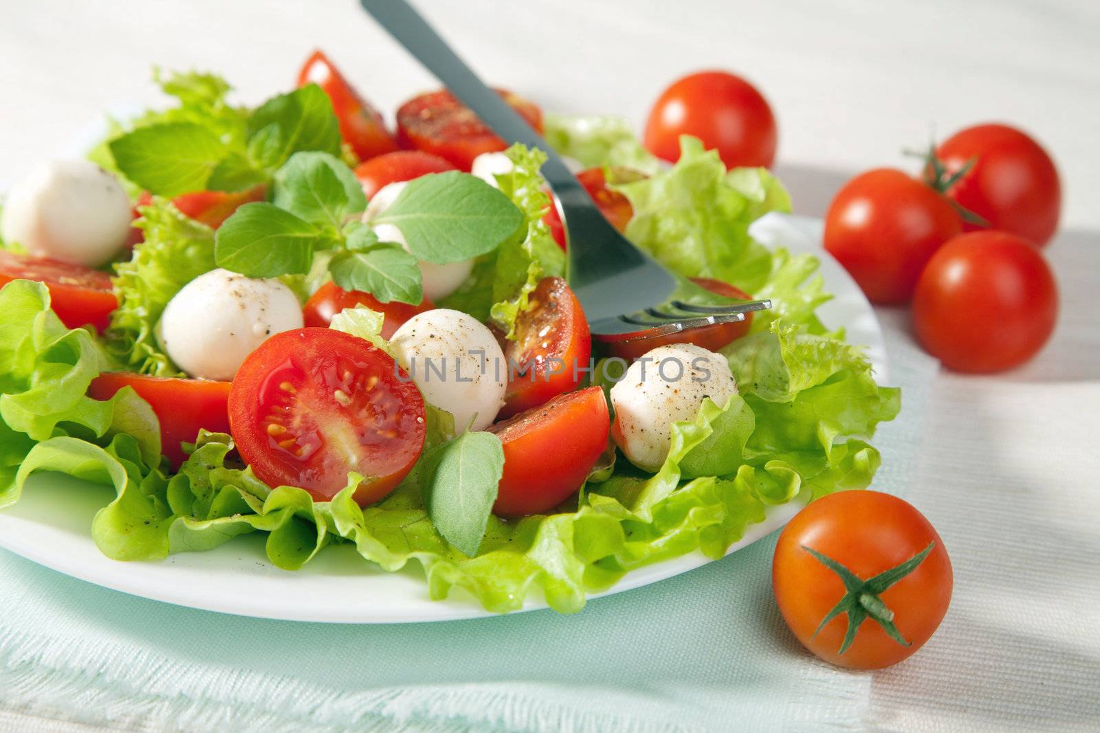 salad with tomatoes and mozzarella