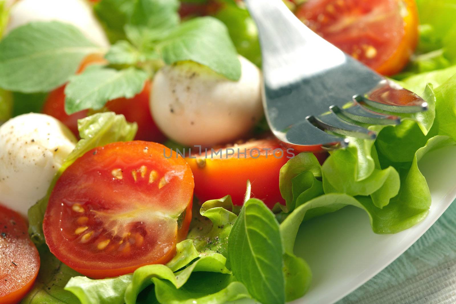 salad with tomatoes and mozzarella
