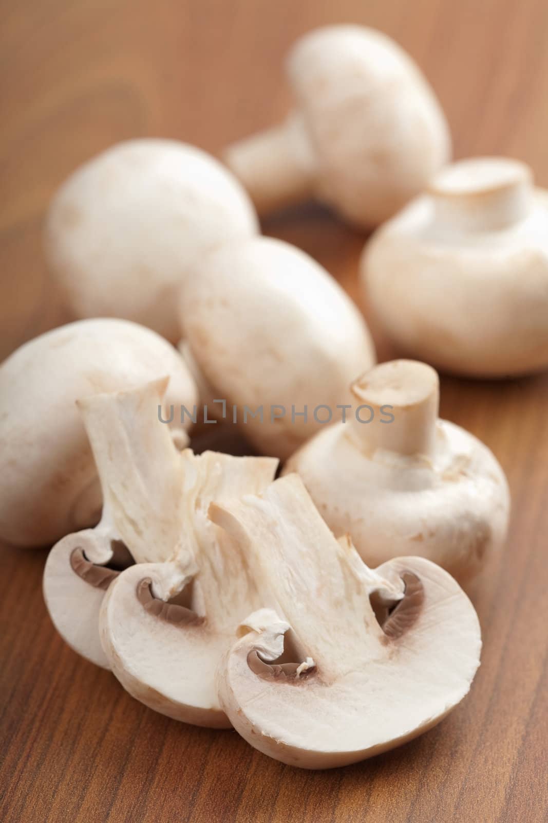 fresh mushrooms 