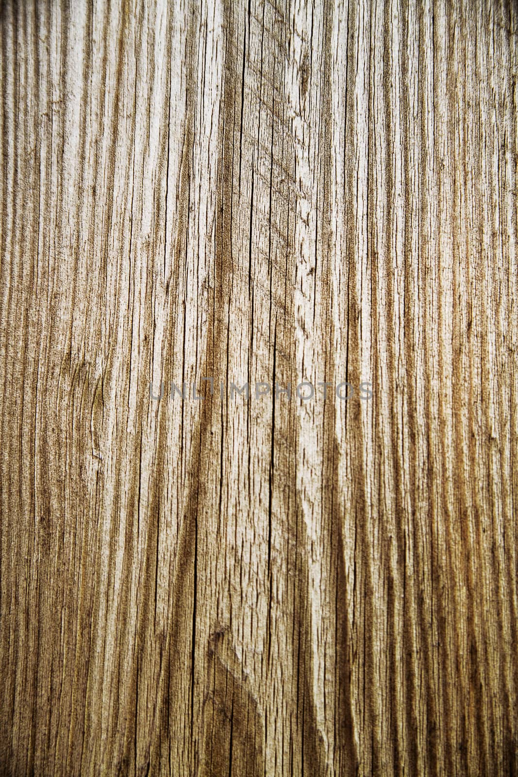 Structure of a wooden surface as a natural background