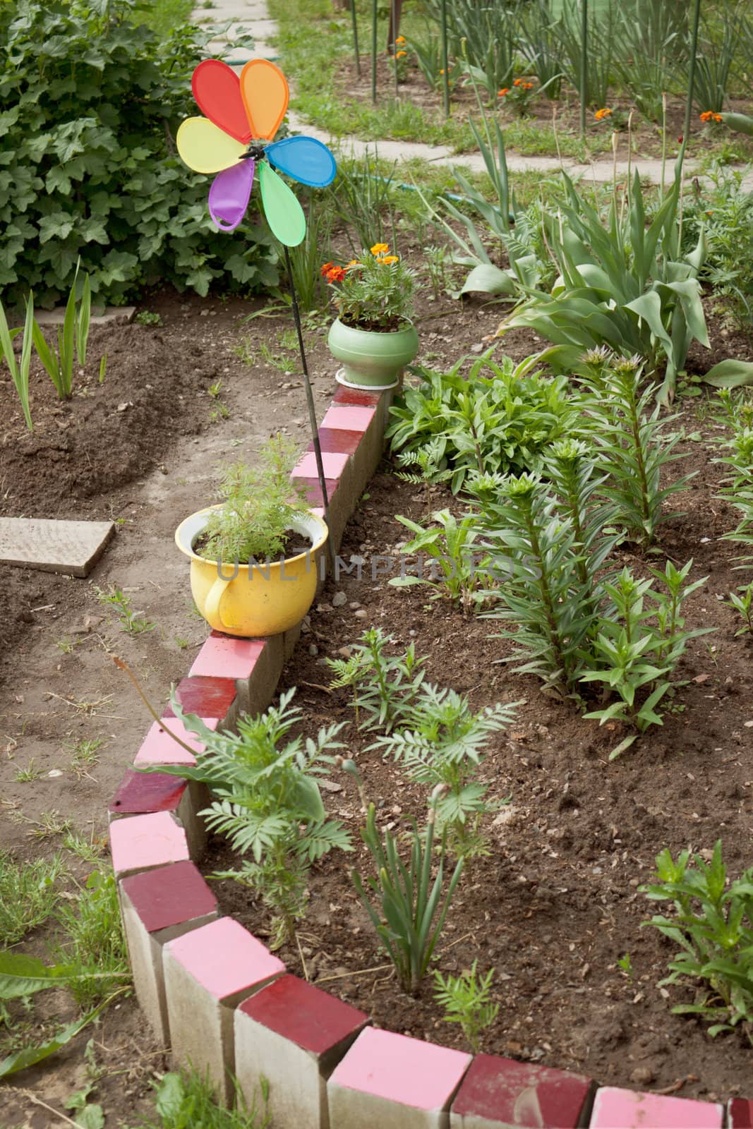Various old items adorn the small garden