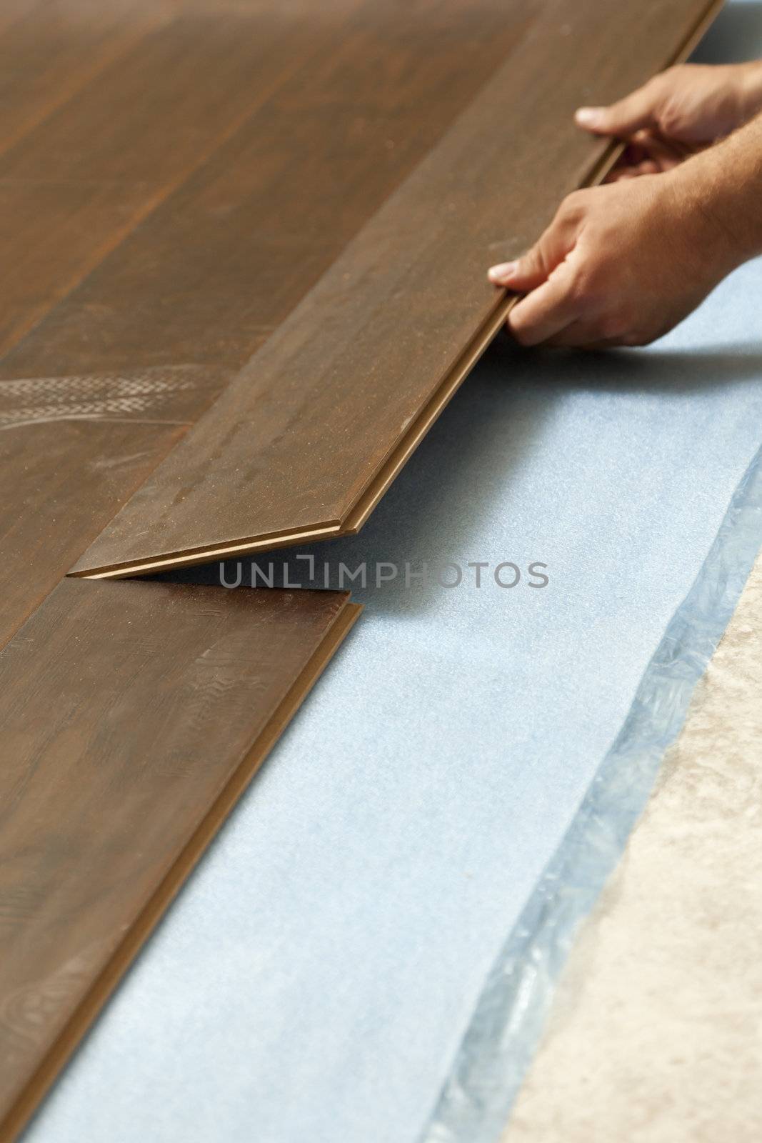 Man Installing New Laminate Wood Flooring by Feverpitched