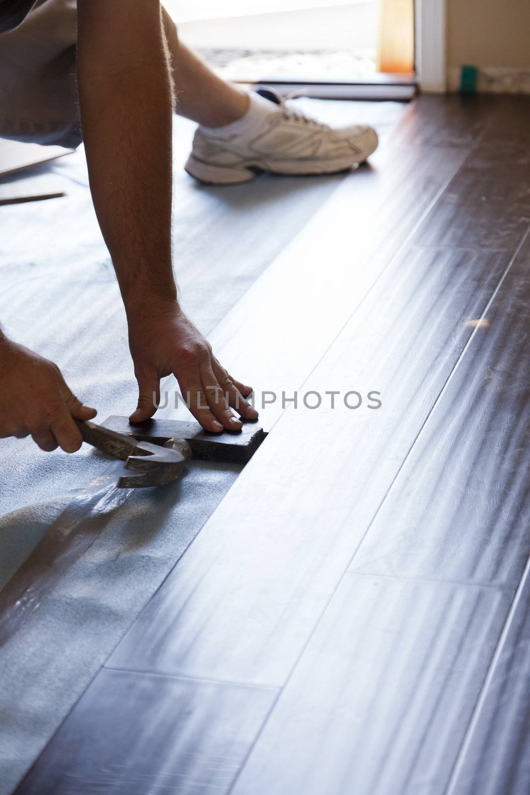 Man Installing New Laminate Wood Flooring by Feverpitched