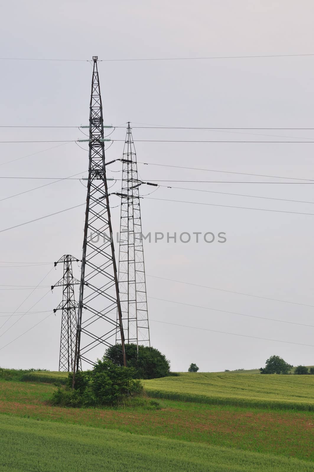 High voltage electric pylon in green field