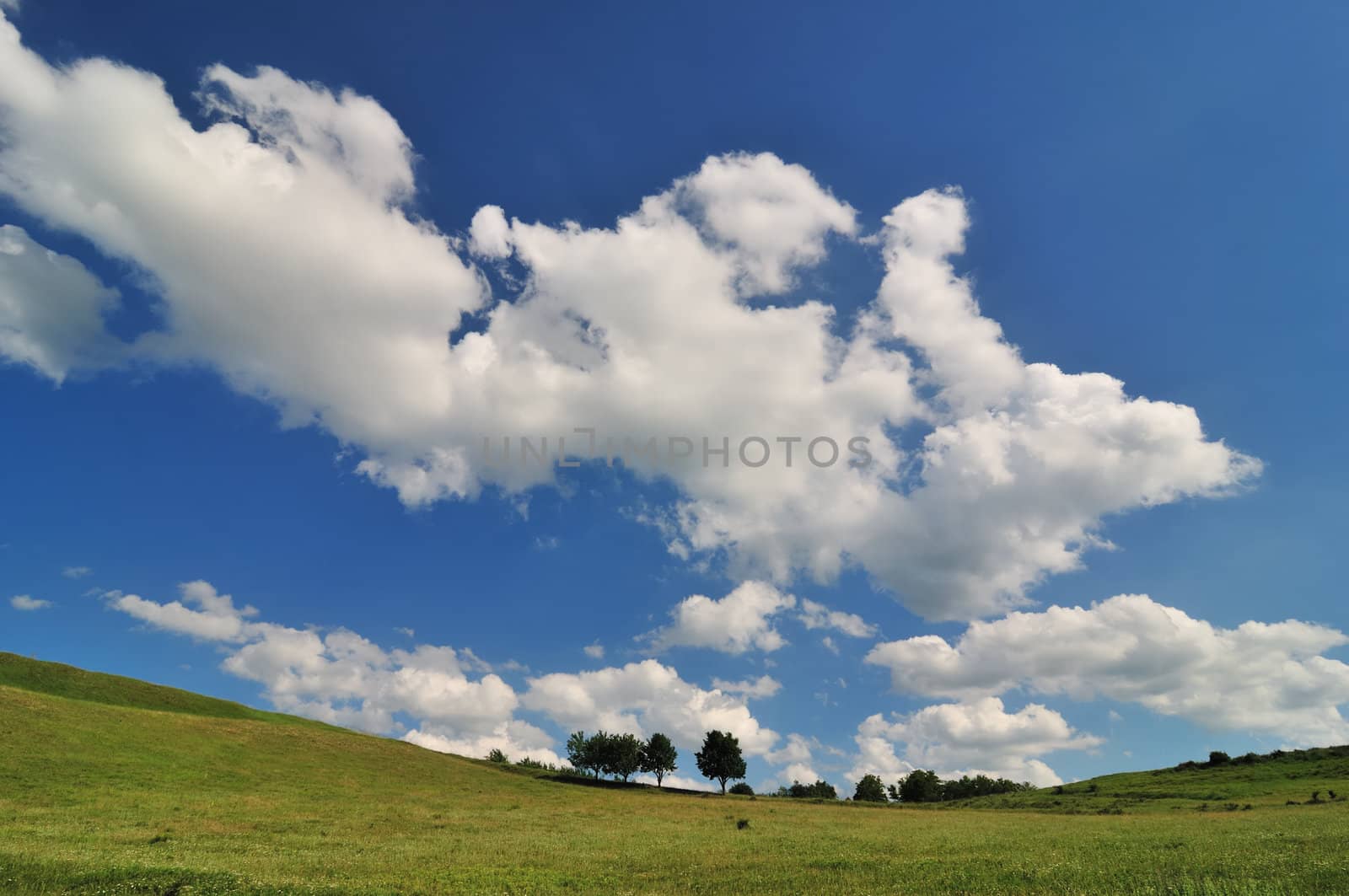 Grass field with clouds on blue sky
